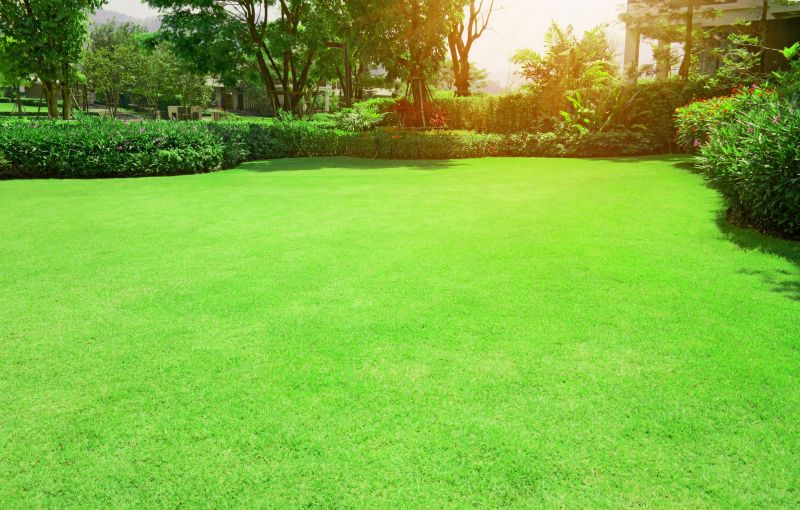 Lawn and Turf Installations