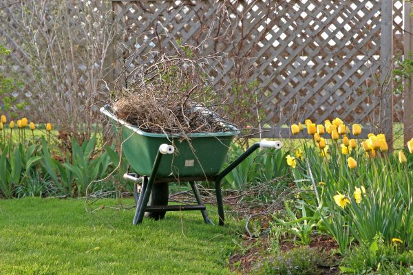 Flower Bed Cleanup Service in Danbury