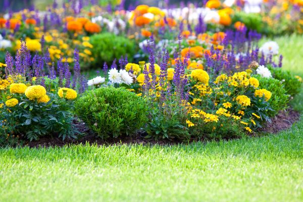 Flower Bed Maintenance in Danbury
