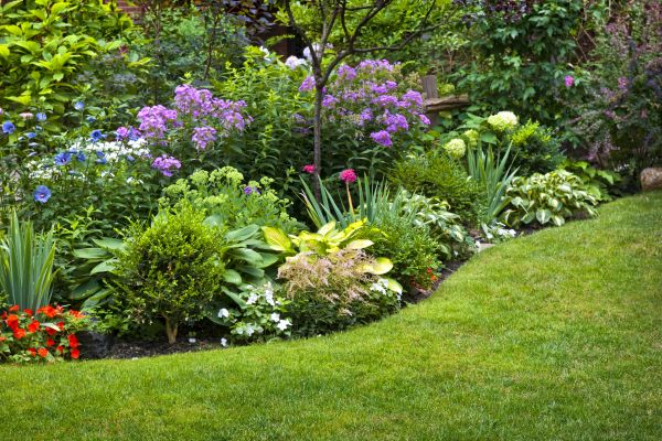 Flower Bed Service in Danbury