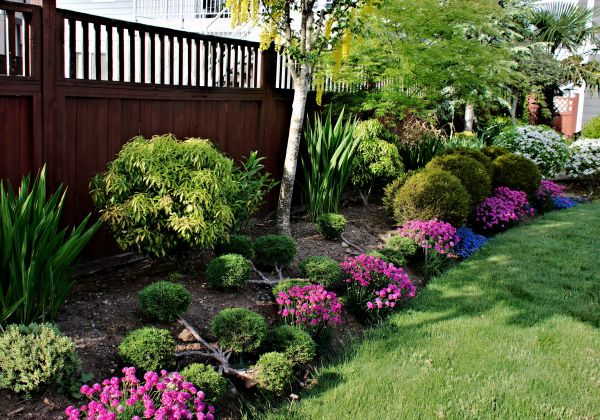 Garden Care Service in Danbury
