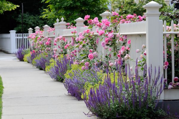 Garden Handyman Service in Danbury