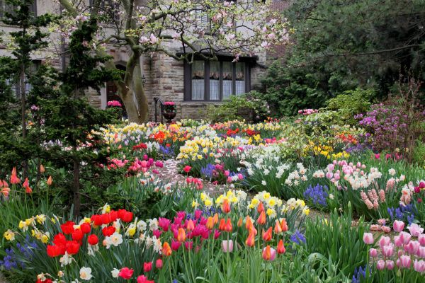 Garden Maintenance Service in Danbury