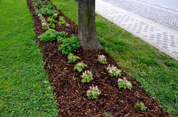Mulch Replacement Service in Danbury