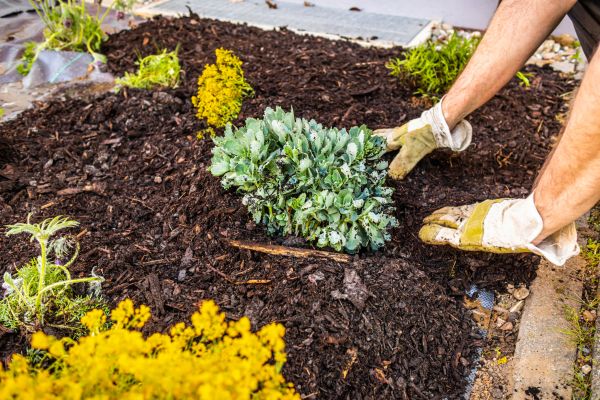 Weeding And Mulching in Danbury