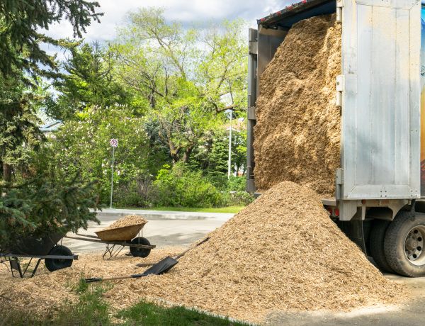 Wood Chips Delivery in Danbury