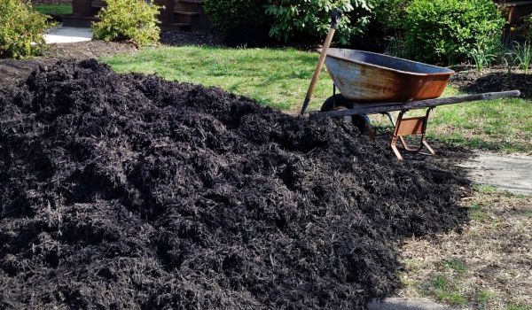 Black Mulch Delivery in Danbury