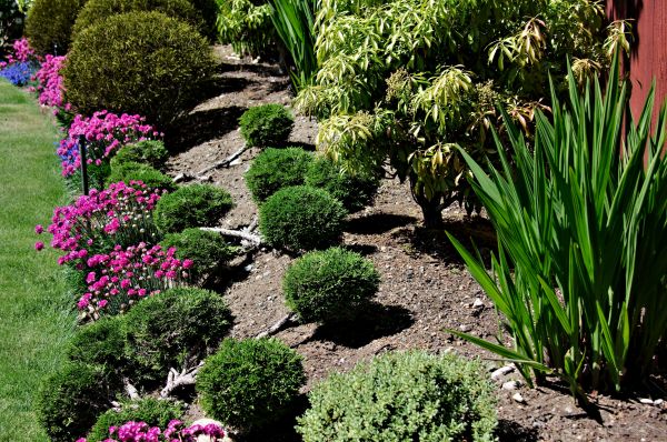 Residential Gardening in Danbury