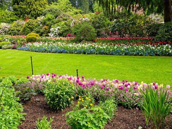 Residential Landscape Design in Danbury