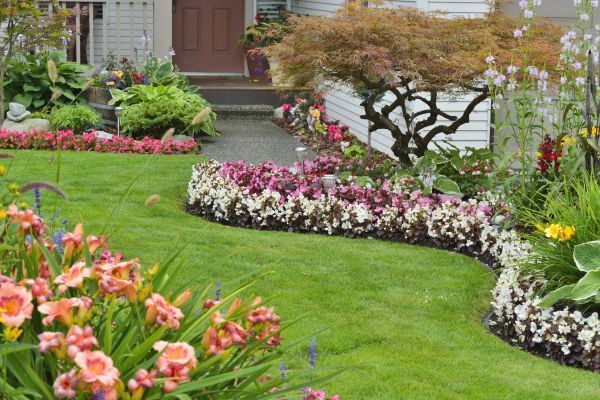 Perennial Landscaping in Danbury