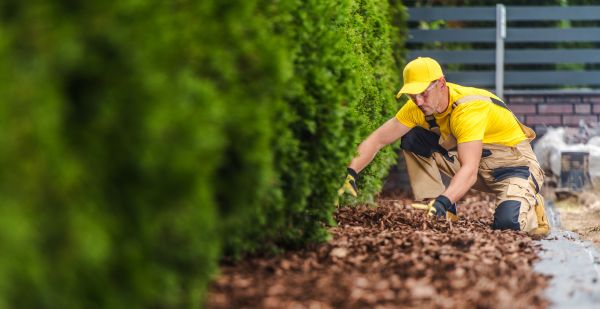Cypress Mulch Installation in Danbury