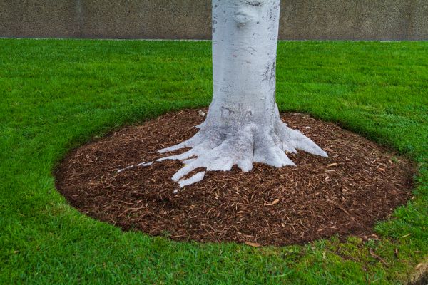 Brown Mulch Installation in Danbury