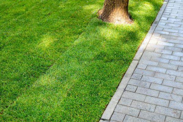 Border Stone Installation in Danbury