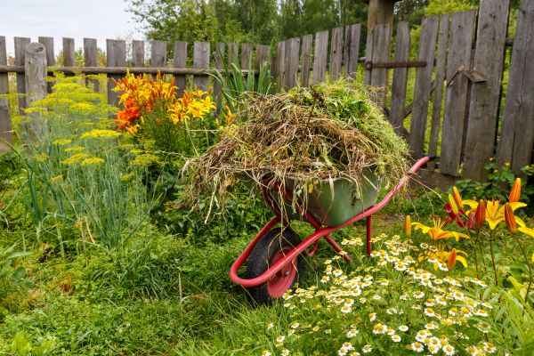 Garden Cleanup Service in Danbury