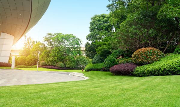 Business Landscape Design in Danbury