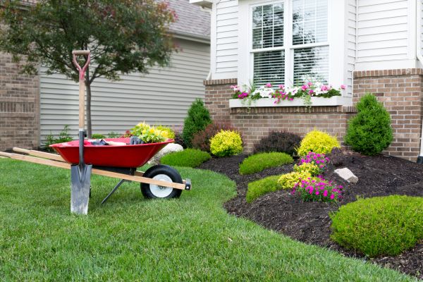 Tree And Shrub Planting in Danbury