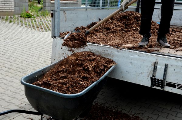 Landscape Mulch Delivery in Danbury