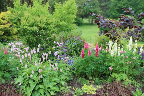 Flower Bed Planting in Danbury