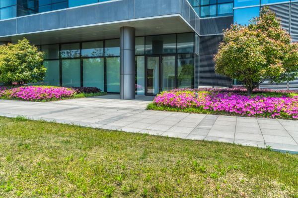 Commercial Gardening in Danbury