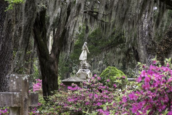 Cemetery Landscaping in Danbury