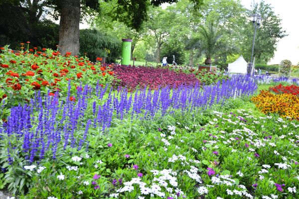 Perennials Planting in Danbury