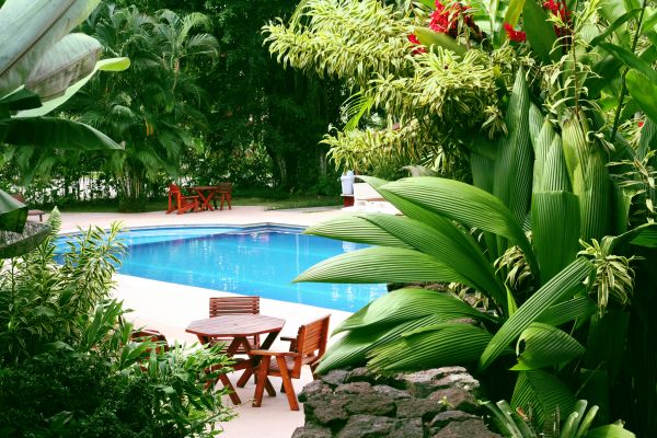 Pool Area Landscaping in Danbury