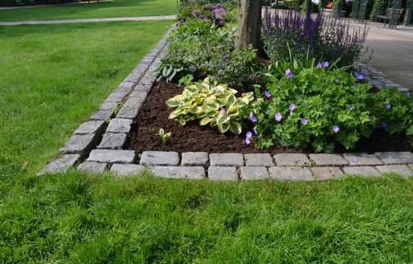 Flower Bed Mulching in Danbury