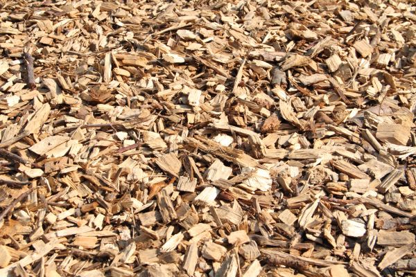 Wood Mulch Delivery in Danbury