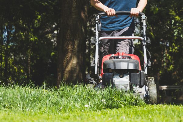 Garden Trimming Service in Danbury
