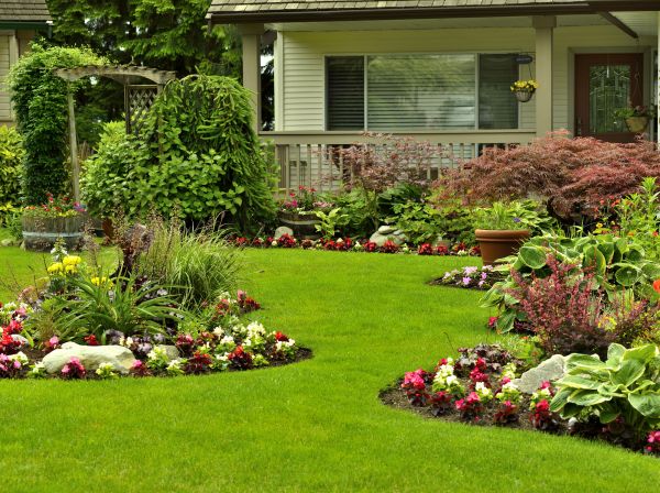 Flower Garden Planting in Danbury