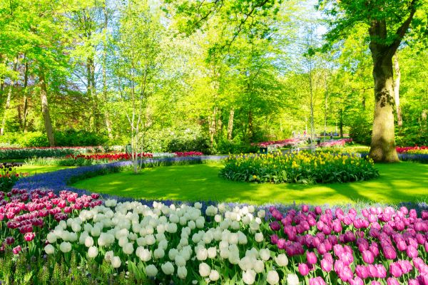 Flower Landscaping in Danbury