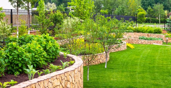 Yard Makeover Service in Danbury