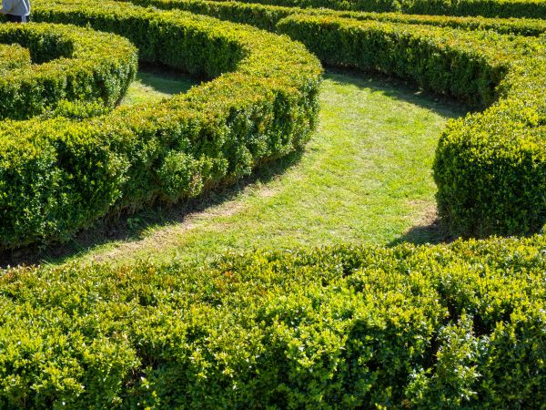 Bush Landscaping in Danbury