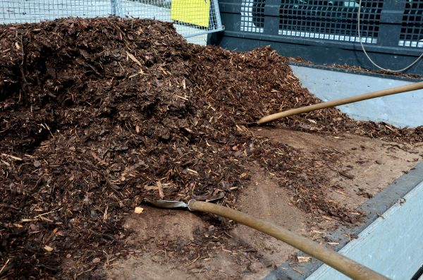 Cedar Bark Delivery in Danbury