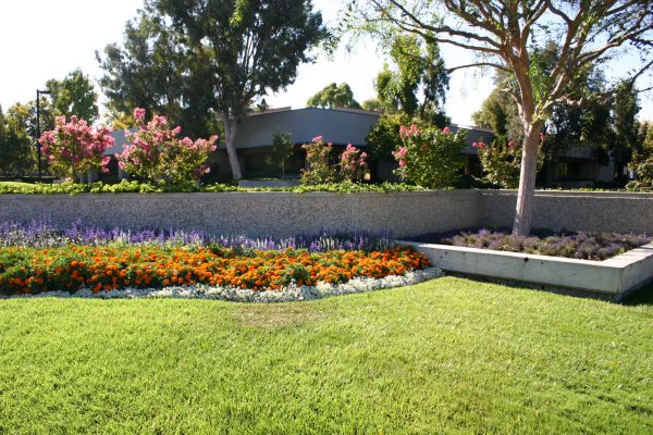 Commercial Landscape Service in Danbury