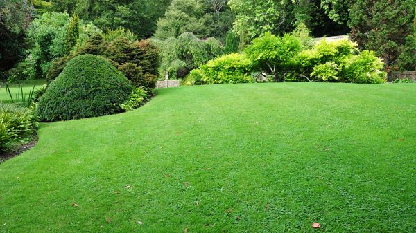 Commercial Landscape Design in Danbury