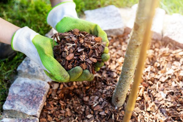 Tree Bark Delivery in Danbury