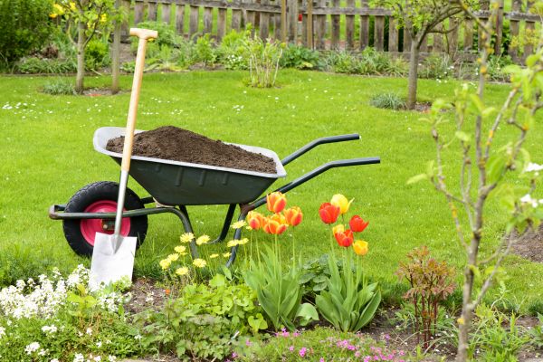 Spring Yard Renovation in Danbury