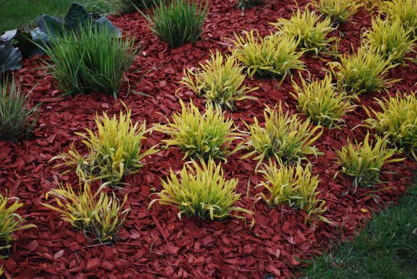 Red Mulch Installation in Danbury