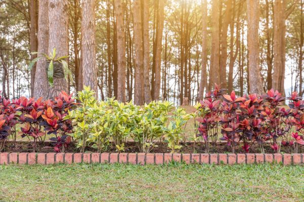 Small Garden Landscaping in Danbury