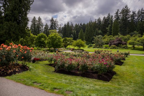 Flower Garden Landscaping in Danbury
