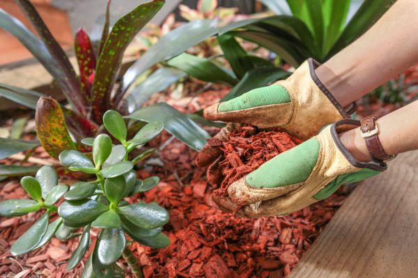 Cedar Mulch Installation in Danbury