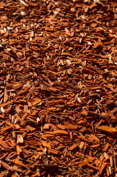 Cedar Mulch Spreading in Danbury
