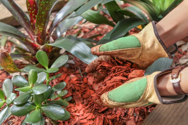Residential Mulching in Danbury