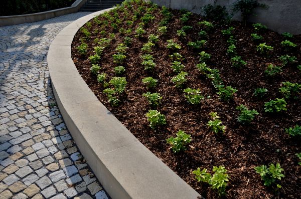 Commercial Mulching in Danbury
